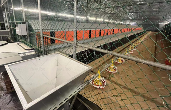 Cage-free Layers Project,Azerbaijan