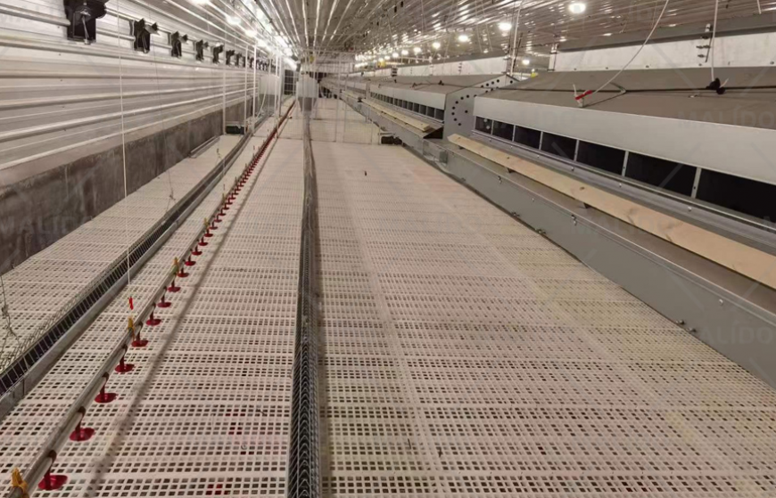 Chain Feeding System