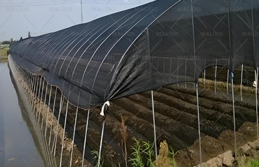 Black Sunshade Nets