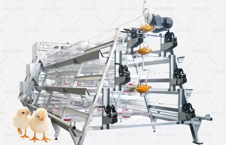 A Type Caging System