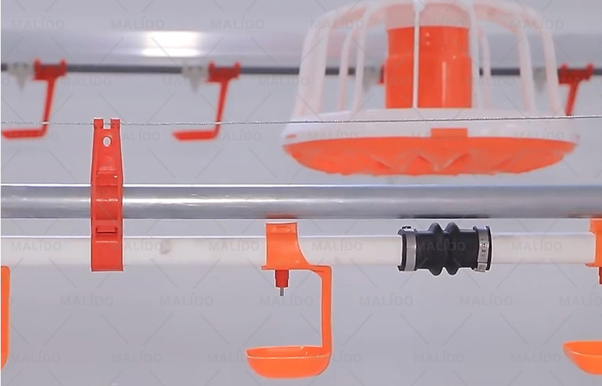 Broiler Pan Feeding System