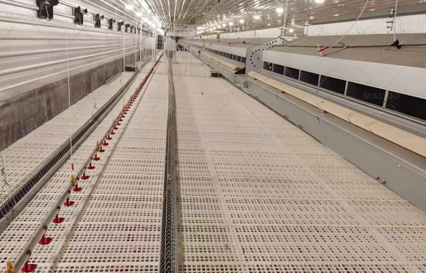 Chain Feeding System