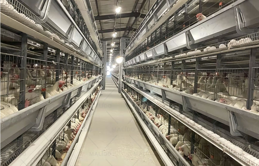 Layers Caging System