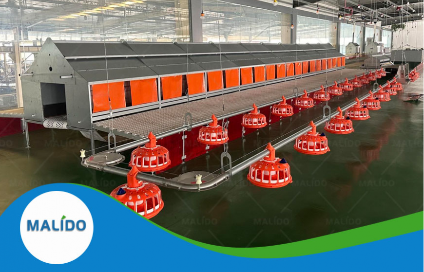 Breeder Breeding System